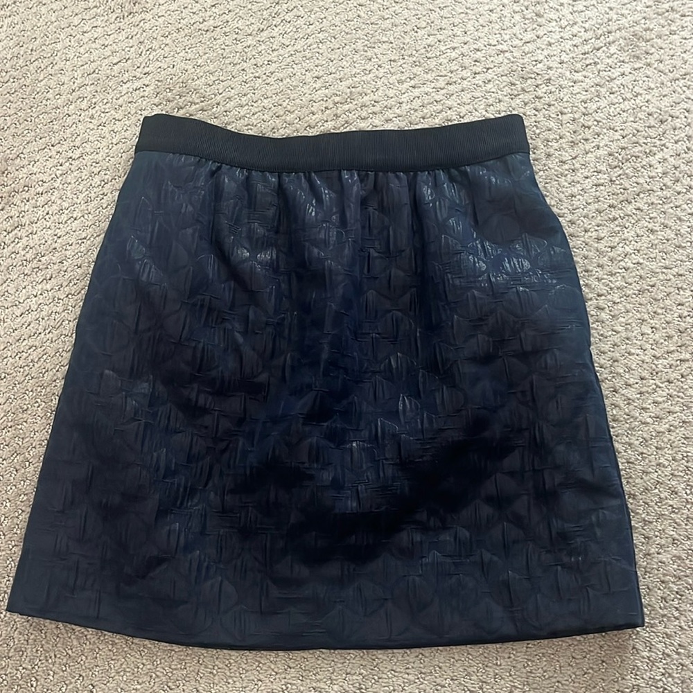 Navy Blue LOFT Skirt